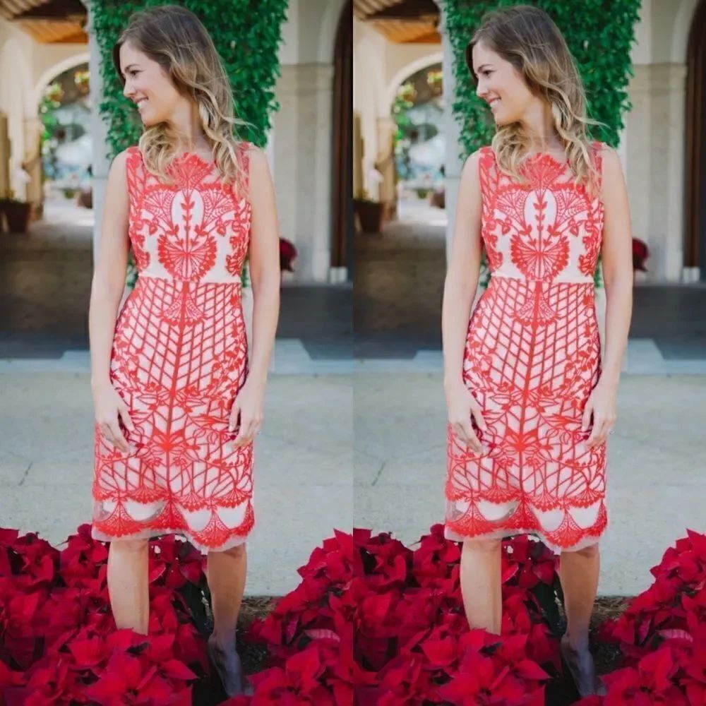 💯 ANTHROPOLOGIE Sugared Ruby Sheath